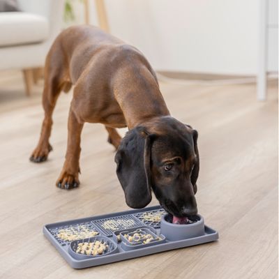 Hund leckt Futter von einer grauen Anti-Schling-Matte mit verschiedenen Texturen und Vertiefungen.