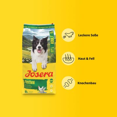 Josera Festival Adult All Sizes mit Lachs und Reis. Leckere Soße, Haut & Fell, Knochenbau.