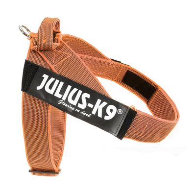 Julius-K9 IDC® Color & Grey szelki dla psa, pomarańczowo-szare