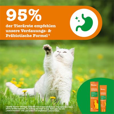 95% der Tierärzte empfehlen unsere Verdauungs- & Präbiotische Formel. Abbildung einer Tube mit Aufschrift: Präbiotika Darmpaste.