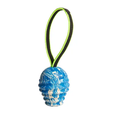 Julius-K9 Duoplay Antibakterieller Hundeball - Gross: Ø 85 x L 11,5 cm Julius-K9 Duoplay Antibakterieller Hundeball - Gross: Ø 85 x L 11,5 cm