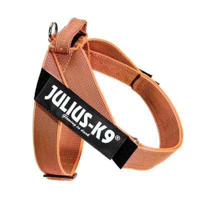 Julius-K9 IDC® Color & Grey szelki dla psa, pomarańczowo-szare
