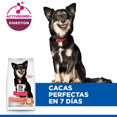 Hill's Science Plan Perfect Digestion Adult 1+ Small & Mini con pollo y arroz integral - 6 kg