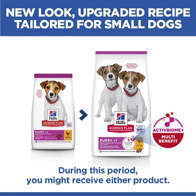 Hill's Science Plan Puppy <1 Small & Mini с  пиле - 6 кг