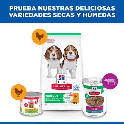 Hill's Sicence Plan Puppy <1 - con vacuno (12 x 370 g)