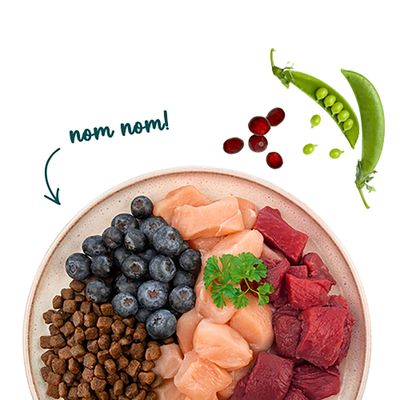 Schale mit Trockenfutter, Blaubeeren, rohem Fleisch, Erbsenschote und Cranberrys. Text: nom nom!