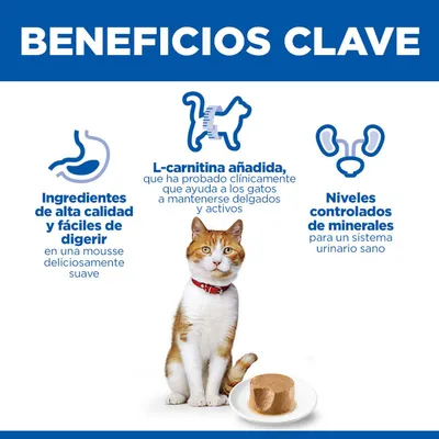 Ventajas principales: ingredientes de alta calidad y fácil digestión, L-carnitina añadida, niveles controlados de minerales para un sistema urinario saludable. Se muestra un gato y mousse.