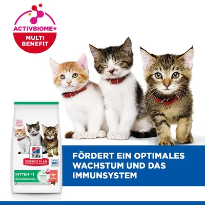 Hill's Science Plan Kitten <1 лосось - 2 x 7 кг