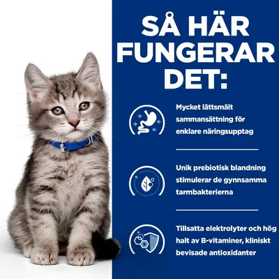Hill's Prescription Diet i/d Digestive Care Kitten Chicken i sås - 12 x 85 g