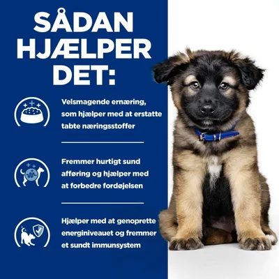 Hill's Prescription Diet i/d Digestive Care Puppy med kylling ActivBiome+ blanding: 2 x 12 kg