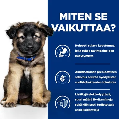 Hill's Prescription Diet i/d Digestive Care Puppy kana - 1,5 kg