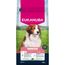 Eukanuba Premium Nutrition Senior Small & Medium Breed, jagnięcina i ryż 2 x 12 kg