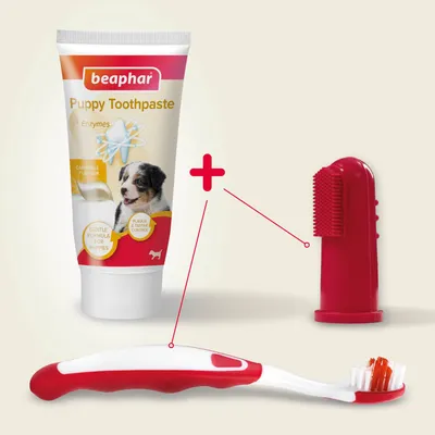 beaphar Zahnpflege Set für Welpen - Set: Zahnbürste + Fingerbürste + Welpen-Zahnpasta
