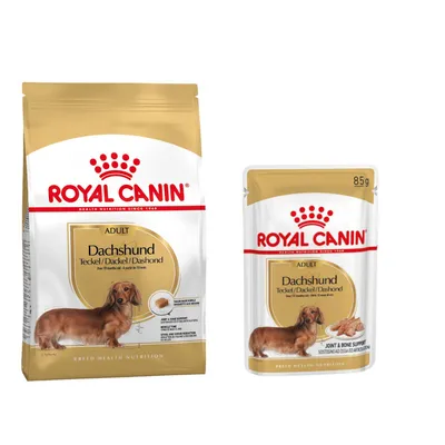 Royal Canin Breed 1,5 à 12 kg pour chien + aliment humide : 15 % de remise ! - Teckel Adult (7,5 kg) + sachets Teckel en mousse (12 x 85 g)