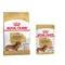 Gemengd pakket: Royal Canin Hondenvoer - Teckel Adult 7,5 kg droogvoer + 12 x 85 g natvoer