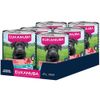 Eukanuba Adult, wołowina z dynią 6 x 400 g