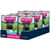 Eukanuba Adult, jagnięcina z ziemniakami 6 x 400 g
