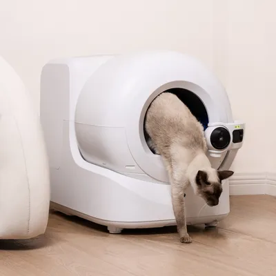 Petkit Selbstreinigende Katzentoilette Purobot Ultra - Zubehör: Ersatz-Deodorant N60 (3 Stück)