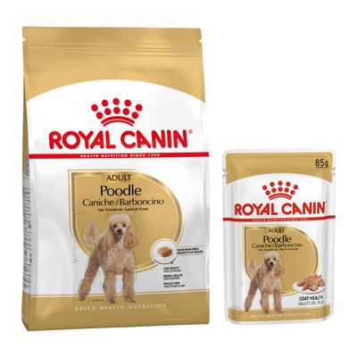 Royal Canin Breed pienso para perros + comida húmeda: ¡15 % de descuento! - Poodle Adult (7,5 kg) + Poodle Adult (12 x 85 g)