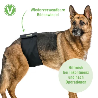 Vetlando couche lavable pour chiens mâles - taille L