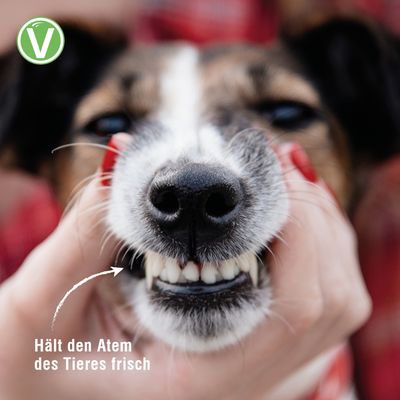 Vetlando tandvårdsspray