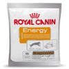 Royal Canin Energy Sparpaket: 10 x 50 g