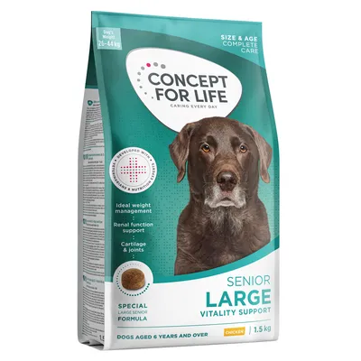 Concept for Life Large Senior - UUSI: säästöpakkaus: 2 x 12 kg