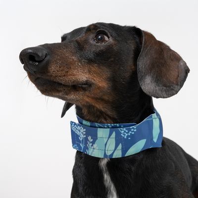 Nomad Tales Collier rafraîchissant tropical pour chiens