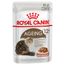 Royal Canin Ageing 12+ umido in Salsa per gatti 12 x 85 g