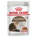 Royal Canin Ageing 12+ umido in Salsa per gatti 12 x 85 g