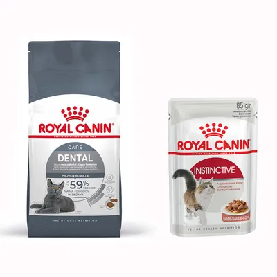 Małe opakowanie Royal Canin Special Care + 12 x 85 g karma mokra Royal Canin - Oral Care, 3,5 kg + Instinctive w sosie, 12 x 85 g