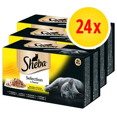 Sheba Selection in Sauce, pack de 24 sobres de 85 g. Variación de ave. Imagen de gato y trozos de comida en salsa visibles en el envase. Sheba Selection in Sauce, pack de 24 sobres de 85 g. Variación de ave. Imagen de gato y trozos de comida en salsa visibles en el envase.