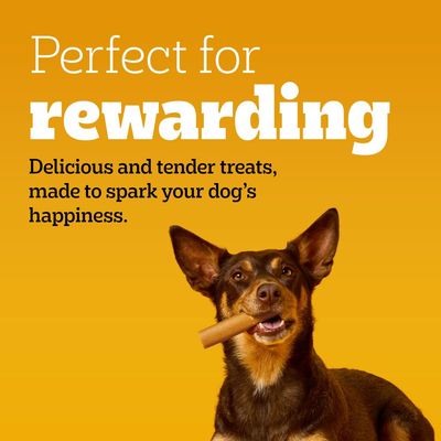 Pedigree Dog Treats Party Pack - 241g