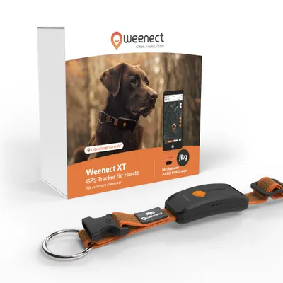 Weenect GPS Tracker XT pour chien – orange