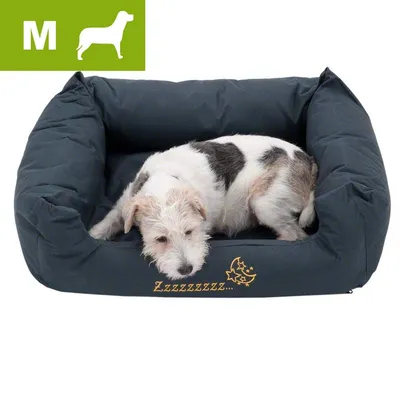 Legowisko dla psa, rozmiar M, z napisem 'Zzzzzzzzz...' i grafiką księżyca z gwiazdkami. Na legowisku leży biało-czarny pies.