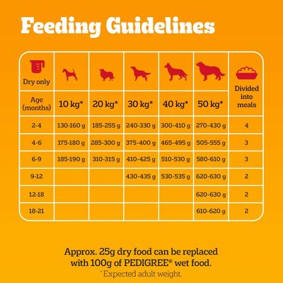 PEDIGREE® COMPLETE™ Puppy Beef & Vegetables