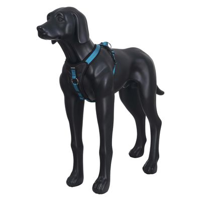 Icepeak Pet Highway sele, aqua