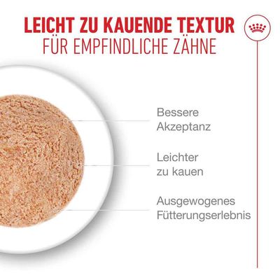 Royal Canin Ageing 11+ Mousse - 12 x 85 g