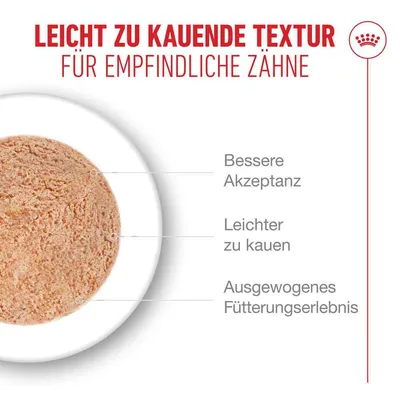 Royal Canin Ageing 11+ мусс - 12 x 85 г