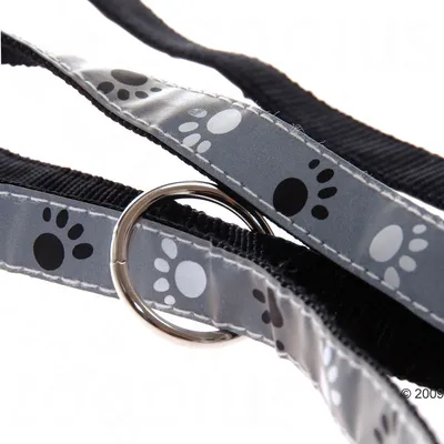 Schwarzes Halsband mit grauem Pfotenmuster und silbernem Metallring.