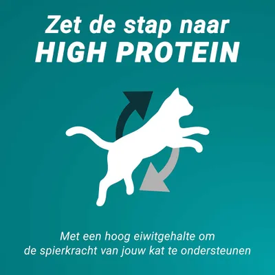 Stap naar High Protein. Met een hoog eiwitgehalte ter ondersteuning van de spierkracht van uw kat.