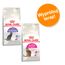 Mieszany pakiet próbny Royal Canin, 2 x 400 g Sterilised 37 + Savour Exigent
