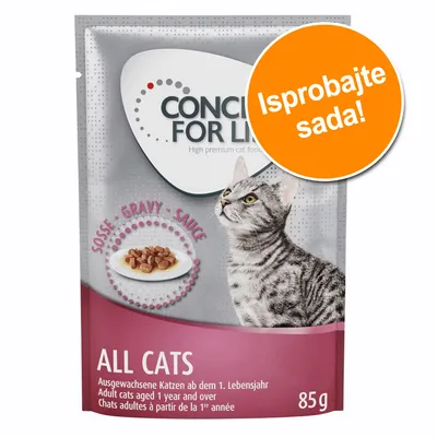 CONCEPT FOR LIFE All Cats hrana za mačke u umaku, 85 g. Narančasti krug s tekstom: Isprobajte sada! Tekst na engleskom, njemačkom i francuskom jeziku.