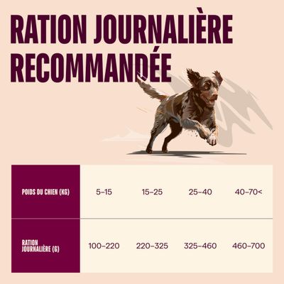 Carnilove Actif Adulte Saumon et dinde