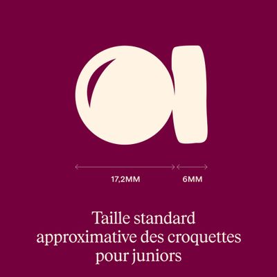 Carnilove True Fresh Junior Large Breeds Canard - 12 kg