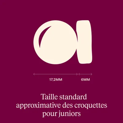 Carnilove True Fresh Junior Large Breeds Canard - 12 kg