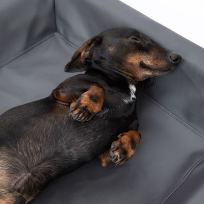 Cama Modern Living de piel sintética para perros