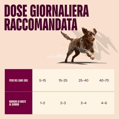 Carnilove Dog - Paté in Buste 4 x 300 g