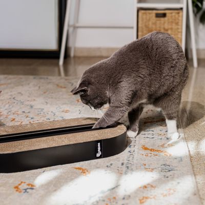 District 70 Scratch Furniture Track