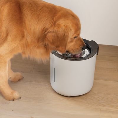 Zeus Oasis Drinking Fountain - Grey